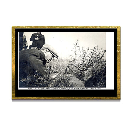 Gazi Mustafa Kemal Atatürk ÖZEL SERİ^# Miyrem  Design Cam Tablo Model: 797