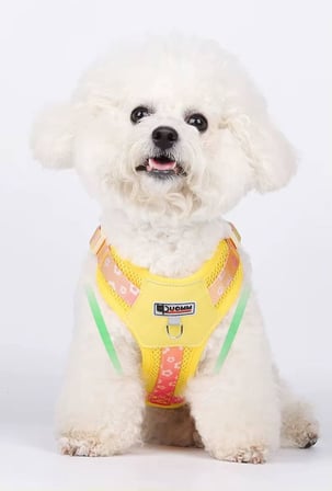 Yacel Köpek Tasması ve Gezdirme Halatı Gögüs ve Sırt Setli (Reflektörlü) (Sarı, S)