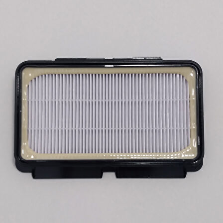 ROWENTA RO 8341-3723 PETEK HEPA FİLTRE TGR 10044575