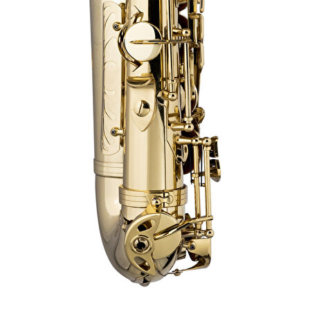 STAGG ALTO SAKSAFON WS-AS215S