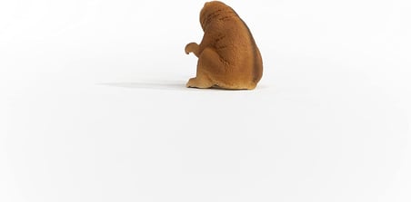 Schleich Yavaş Loris