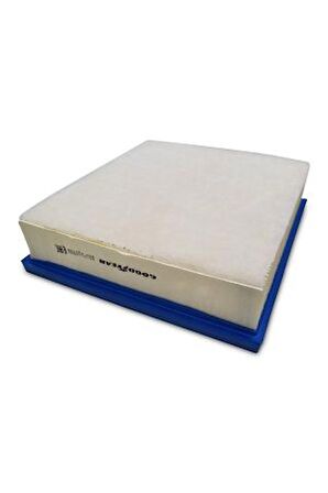 GOODYEAR VOLKSWAGEN PASSAT HAVA FİLTRESİ SİLİNDİR TİP 1,6-2,0 FSİ (2004-2010) OE:1F0129620