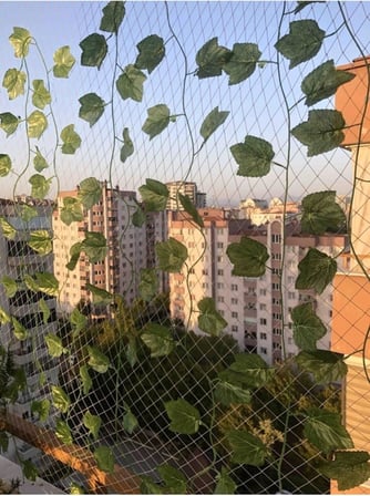 Kuş Filesi 2X3 Metre Balkon Önleme Ağı Güvercin Kedi
