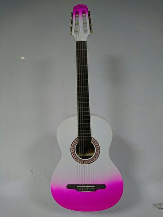 GRC1KPUB Klasik Gitar GYPSY Rose Set