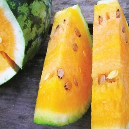 10 Adet Sweet Tendersweet Portakal Karpuz Tohumu