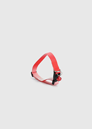 Pembe  Provoq T1066 Pembe Ombre İnceTasma Kedi