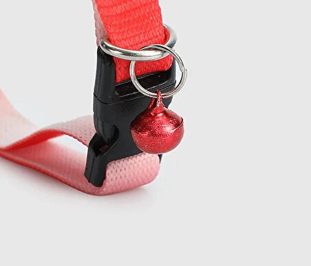 Pembe  Provoq T1066 Pembe Ombre İnceTasma Kedi