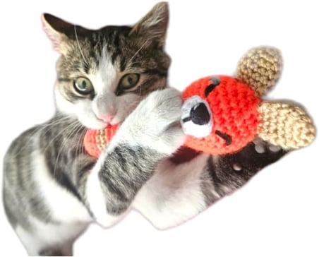 Catnipli Kedi &amp; Köpek Diş Kaşıma Isırma Oyuncağı