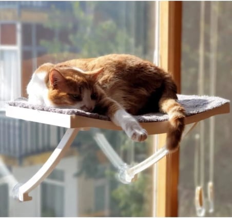 Cama Asılan Vantuzlu Plastik Kedi Yatağı (Pembe)
