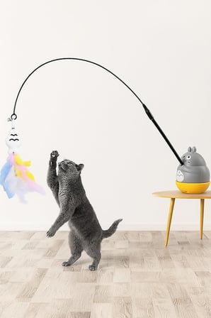 Busstier Kedi Oyun Oltası (Standart, Balıkçı)