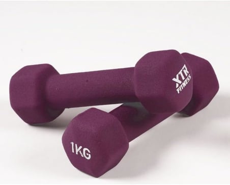 Vinyl Neoprene Dambıl 1 Kg x 2 Adet Mor