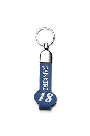 Slikon Saplı Şehir Plakalı Anahtarlık