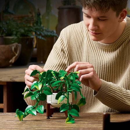 LEGO 11512 Botanicals Salon Sarmaşığı