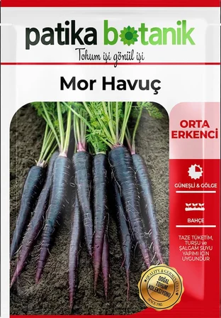 450 Adet Yerli Ata Mor Havuç Tohumu
