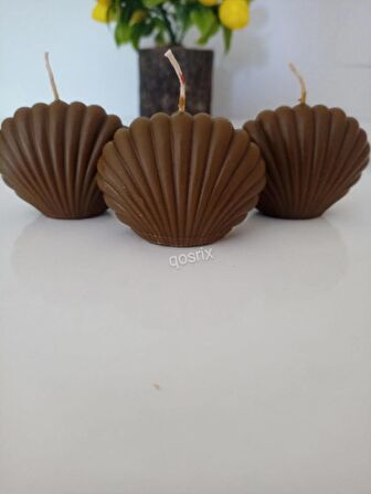 3'lü Kahverengi Mini İstiridye Deniz Kabuğu 1. Kalite Doğal Kokulu Mum Dekoratif