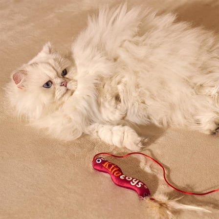 Kito Toys Solucan (Olta) Peluş Kedi Oyuncağı