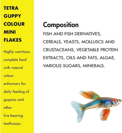 Tetra Guppy Colour Mini Flakes Pul Lepistes Yemi 100ml