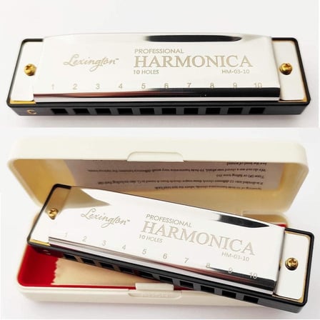 10 Delikli Mızıka Professional Harmonica DO (C)