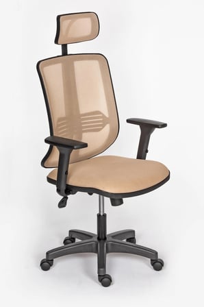 Selecta Güçlendirilmiş Polimer Ayaklı Büro ve Yönetici Koltuğu