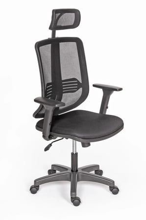 Selecta Güçlendirilmiş Polimer Ayaklı Büro ve Yönetici Koltuğu