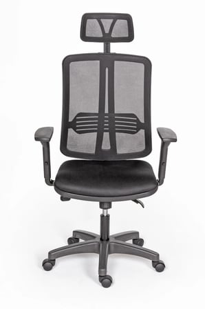 Selecta Güçlendirilmiş Polimer Ayaklı Büro ve Yönetici Koltuğu