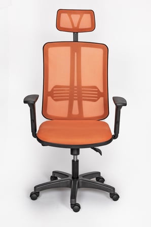 Selecta Güçlendirilmiş Polimer Ayaklı Büro ve Yönetici Koltuğu