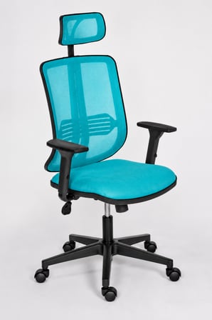 Selecta Güçlendirilmiş Polimer Ayaklı Büro ve Yönetici Koltuğu