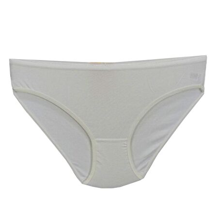 Kadın Bikini Külot Mikro Modal BGL-ST01312