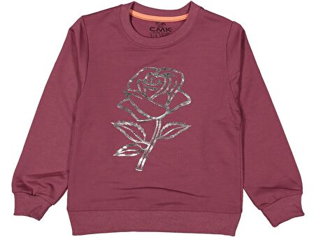 Kız Çocuk Mevsimlik Gül Baskılı Sweatshirt BGL-ST03645