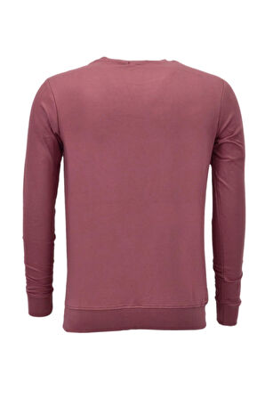 Erkek Spor Mevsimlik Sıfır Yaka Sweatshirt BGL-ST03933