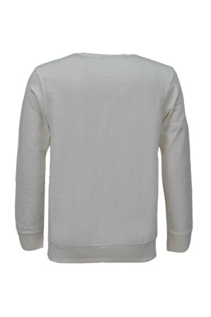 Erkek Spor Mevsimlik Sıfır Yaka Sweatshirt BGL-ST03934