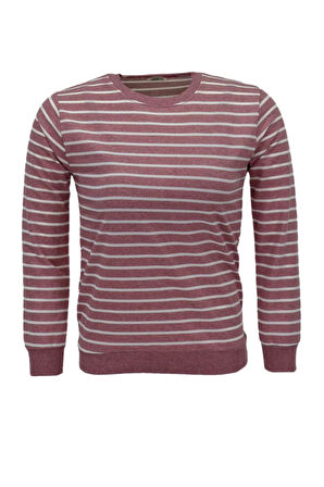 Kadın Çizgili Sweatshirt BGL-ST04142