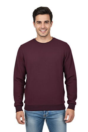 Erkek Sıfır Yaka Petek Doku Regular Fit Sweatshirt BGL-ST04950