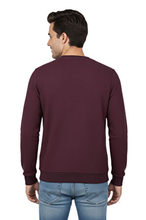 Erkek Sıfır Yaka Petek Doku Regular Fit Sweatshirt BGL-ST04950