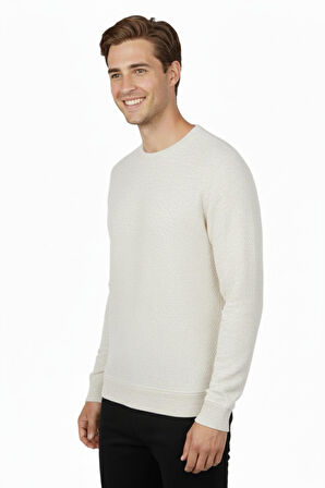 Erkek Sıfır Yaka Petek Doku Regular Fit Sweatshirt BGL-ST04950