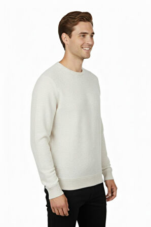Erkek Sıfır Yaka Petek Doku Regular Fit Sweatshirt BGL-ST04950