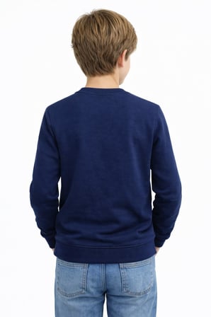 Erkek Çocuk Sweatshirt BGL-ST05228