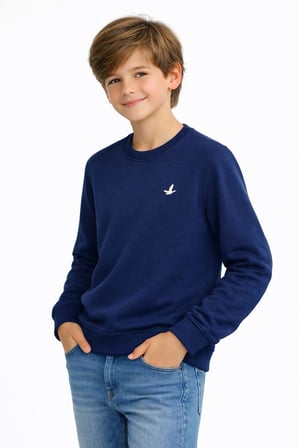 Erkek Çocuk Sweatshirt BGL-ST05228