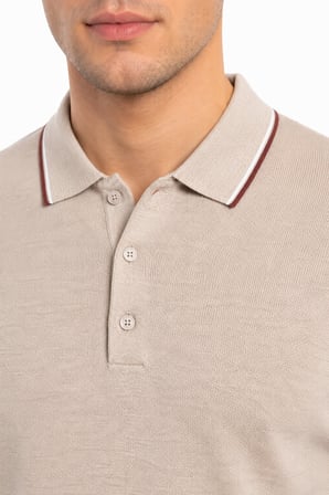 Erkek Polo Yaka Kısa Kollu Triko Tişört Regular Kalıp BGL-ST05559