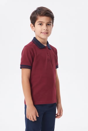 Kolej Polo Yaka Tişört Bordo Lacivert Yakalı BGL-ST05679