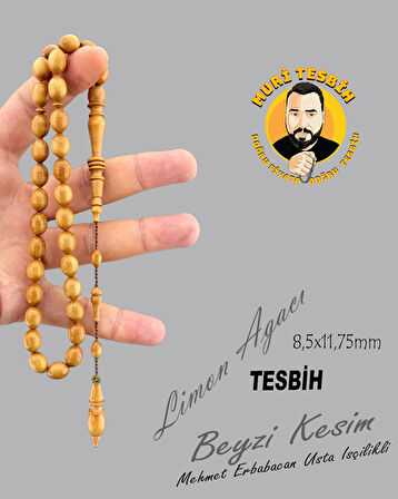 MEHMET ERBABACAN LİMON AĞACI BEYZİ KESİM 8,5X11,75mm