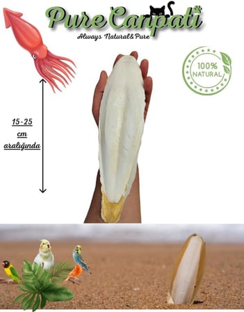 XL Kalamar Kemiği(İri Boy 15-20 cm aralığında)
