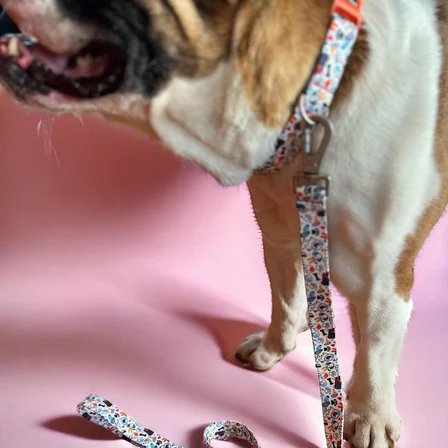 Recycled Köpek Gezdirme Kayışı, Gezdirme Kayışı – Geri Dönüştürülmüş, Kadifemsi Dokulu, Çift Kilitli Karabina Kanca, 360° Dönüşlü, Dayanıklı, Bone Small