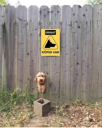 glassify 3’lü Dekoratif Köpek Var! Uyarı Levhası Seti 25 x 35