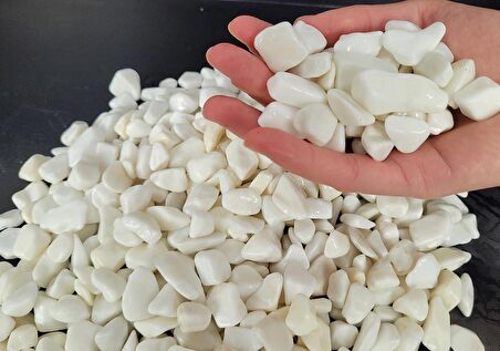 Dolomit Taş Beyaz Taş 3 Kg 1-2 Cm Dere Taşı Çakıl Taşı Dolamit