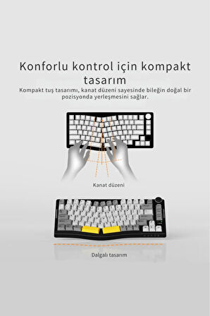 AKS075 Ergonomik DayDream Switch-Mekanik Klavye-BT5.1/2.4GWireless/USB Kablolu-HotSwap Dinamik RGB