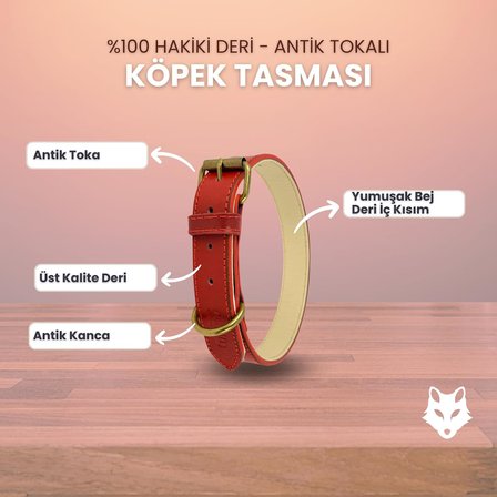 %100 Hakiki Deri - Antik Tokalı Köpek Tasması – Yumuşak İç Katman, Dayanıklı ve Şık Tasarım - Gerçek Deriden Tasma; Ekstra Küçük, Küçük, Orta, Büyük, Çok Büyük Köpekler İçin (Kırmızı, XS)