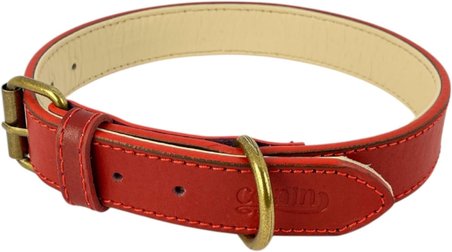 %100 Hakiki Deri - Antik Tokalı Köpek Tasması – Yumuşak İç Katman, Dayanıklı ve Şık Tasarım - Gerçek Deriden Tasma; Ekstra Küçük, Küçük, Orta, Büyük, Çok Büyük Köpekler İçin (Kırmızı, XS)