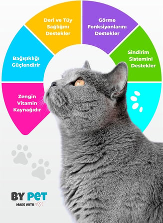 Kedi Tüy Yumağı Önlemeyi Destekleyen Özel Formül Malt Macunu 100 Gram Kedi Maltı