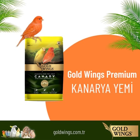 Gold Wings Premium Kanarya Yemi, 1 Kg
